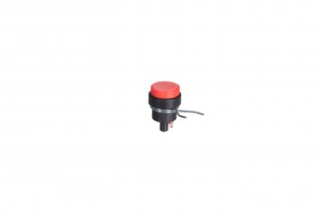 5349 CS-392 NA E1FE IN PUSHBUTTON 0_5A.jpg